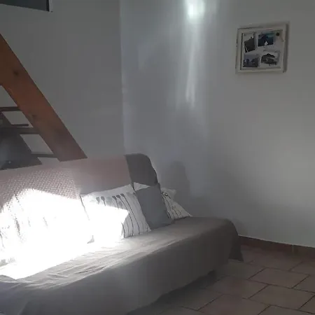 Les Figues Et Les Cigales *