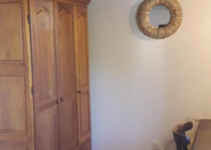 Les Figues Et Les Cigales