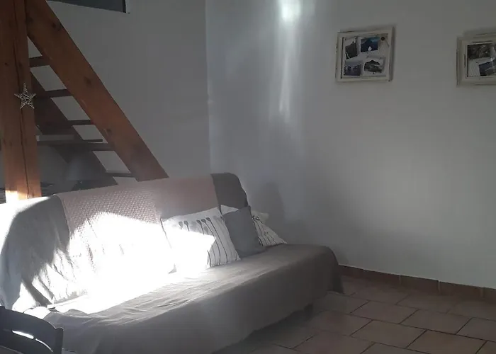 Les Figues Et Les Cigales *