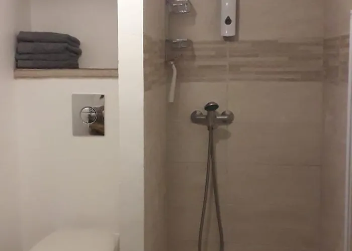 Les Figues Et Les Cigales