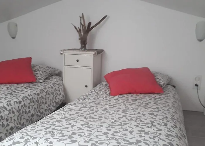 Les Figues Et Les Cigales Hyères