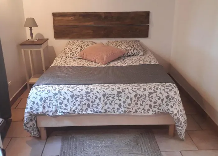 Les Figues Et Les Cigales