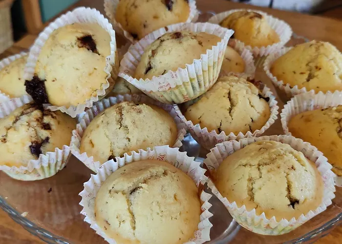 Les Figues Et Les Cigales *